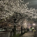 実際訪問したユーザーが直接撮影して投稿した関口公園江戸川公園の写真