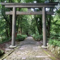 実際訪問したユーザーが直接撮影して投稿した大山神社大神山神社 奥宮の写真