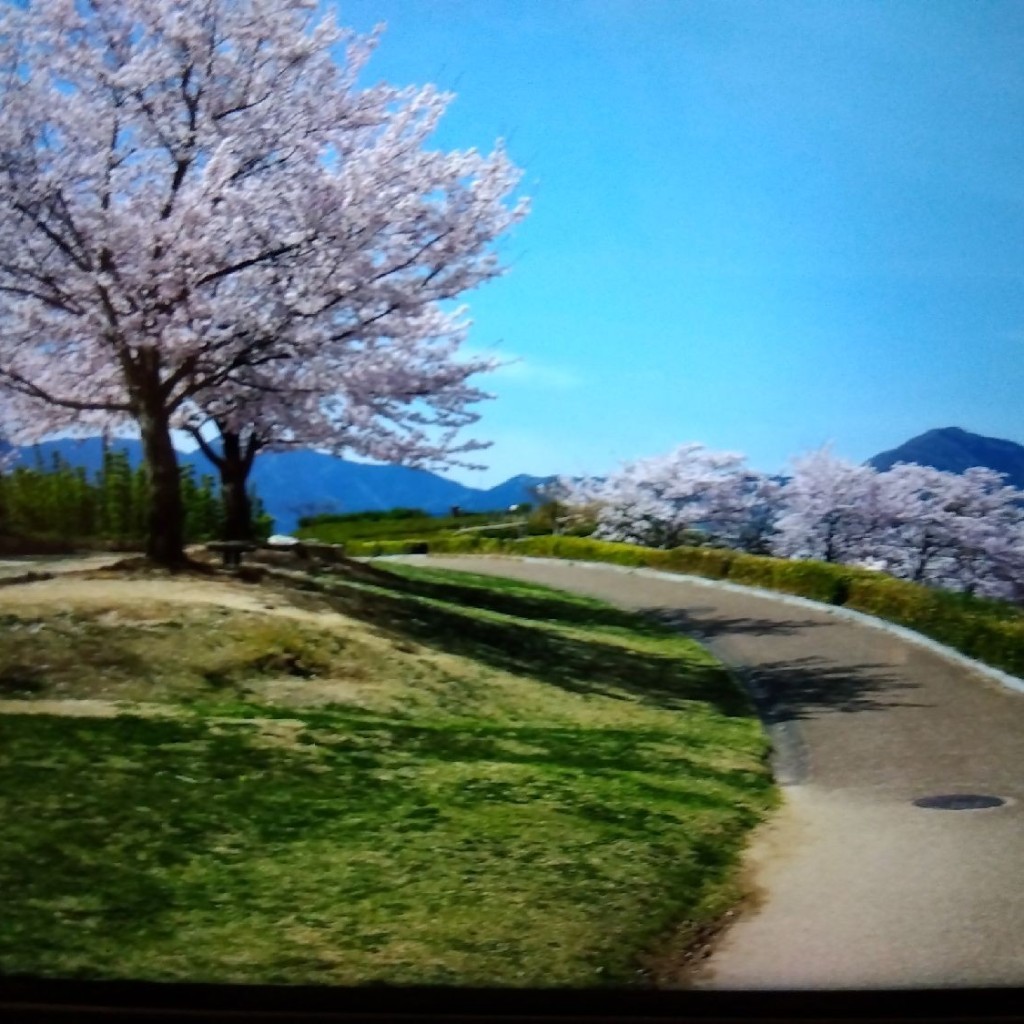 実際訪問したユーザーが直接撮影して投稿した三吉公園竹取公園の写真