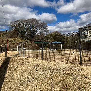 実際訪問したユーザーが直接撮影して投稿した裏野公園田町川南公園の写真