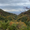 実際訪問したユーザーが直接撮影して投稿した梶野町お好み焼き六甲山の写真