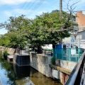 実際訪問したユーザーが直接撮影して投稿した今井南町河川渋川の写真