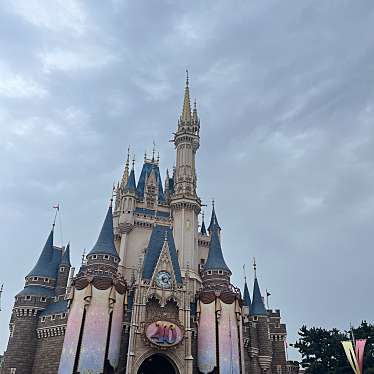 東京ディズニーランド・ステーション (ディズニーリゾートライン)のundefinedに実際訪問訪問したユーザーunknownさんが新しく投稿した新着口コミの写真