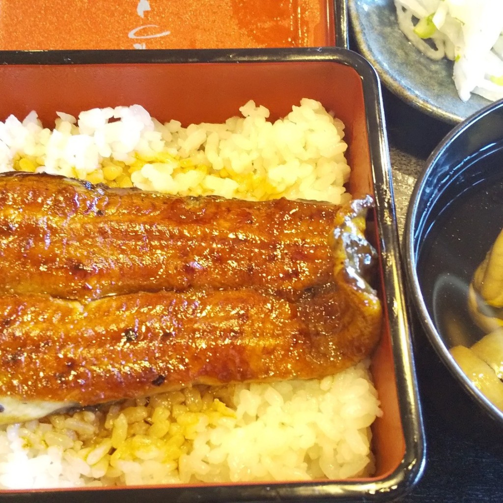 ユーザーが投稿したうな重(ミニ)の写真 - 実際訪問したユーザーが直接撮影して投稿した新宿和食 / 日本料理和膳 たつ吉の写真
