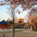 実際訪問したユーザーが直接撮影して投稿した山田町公園加賀市中央公園の写真