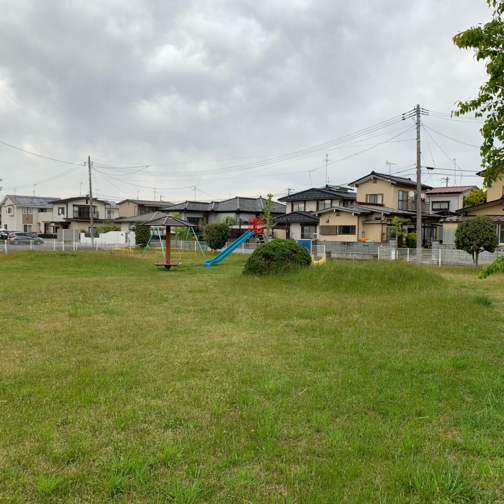 実際訪問したユーザーが直接撮影して投稿した南新町公園南新町児童公園の写真