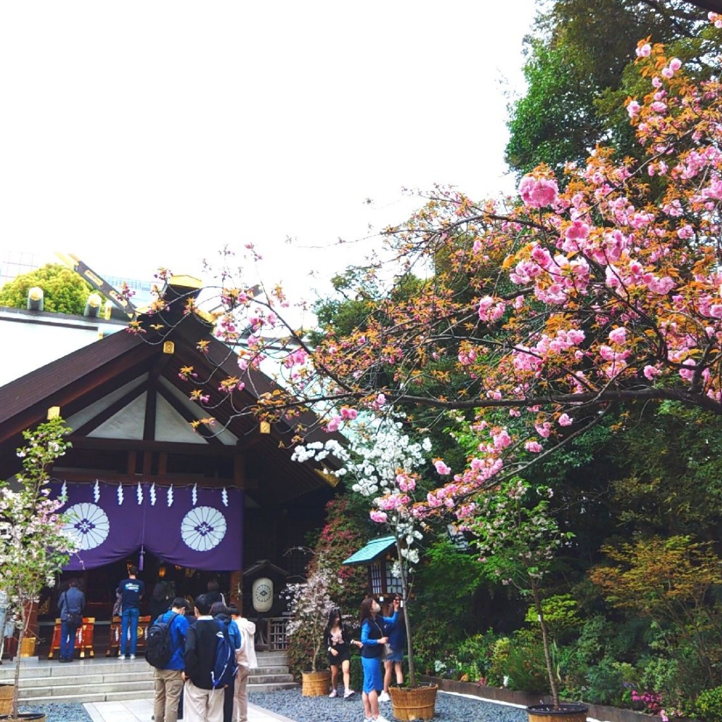 実際訪問したユーザーが直接撮影して投稿した富士見神社東京大神宮の写真