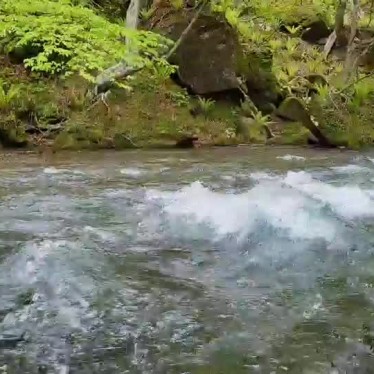 実際訪問したユーザーが直接撮影して投稿した河川奥入瀬渓流の写真