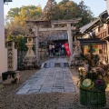 実際訪問したユーザーが直接撮影して投稿した柳神社郡山八幡神社の写真