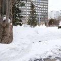 実際訪問したユーザーが直接撮影して投稿した北三条西歴史 / 遺跡開拓使札幌本庁舎跡の写真