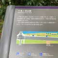 実際訪問したユーザーが直接撮影して投稿した麹町公園千鳥ヶ淵公園の写真