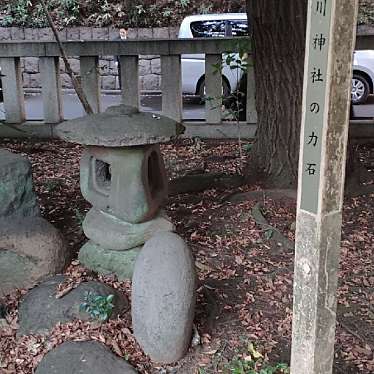 実際訪問したユーザーが直接撮影して投稿した赤坂歴史 / 遺跡氷川神社の力石の写真