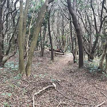 実際訪問したユーザーが直接撮影して投稿した時志公園観音公園の写真