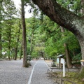 実際訪問したユーザーが直接撮影して投稿した八坂神社事任八幡宮の写真