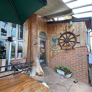 pakoさんが投稿した森本カフェのお店アウルカフェ/OWL Cafeの写真