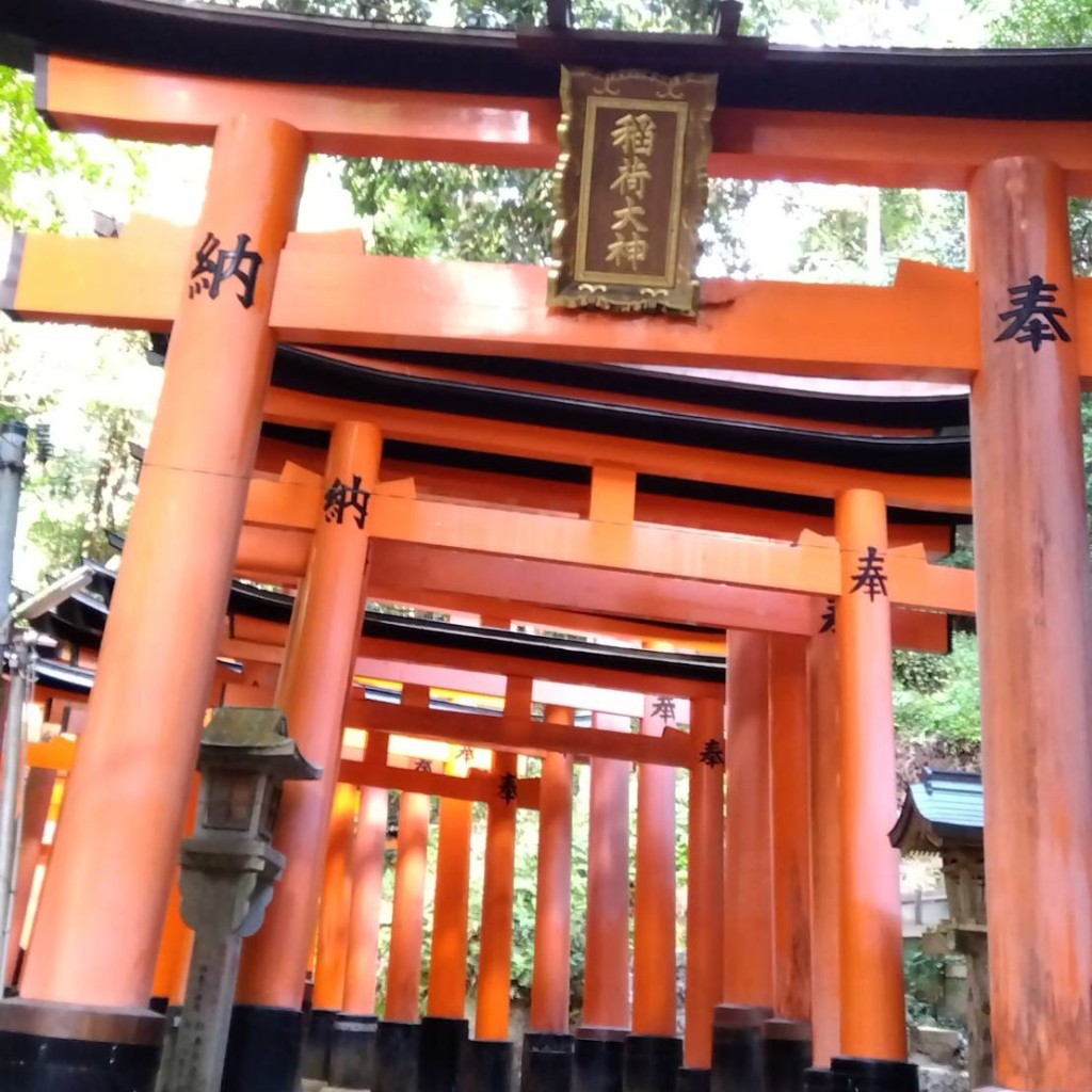 まるきちくんさんが投稿した稲荷山官有地神社のお店千本鳥居/センボントリイの写真