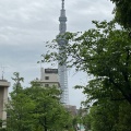 実際訪問したユーザーが直接撮影して投稿した東浅草公園山谷堀公園の写真