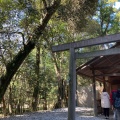 実際訪問したユーザーが直接撮影して投稿した宇治館町神社瀧祭神の写真