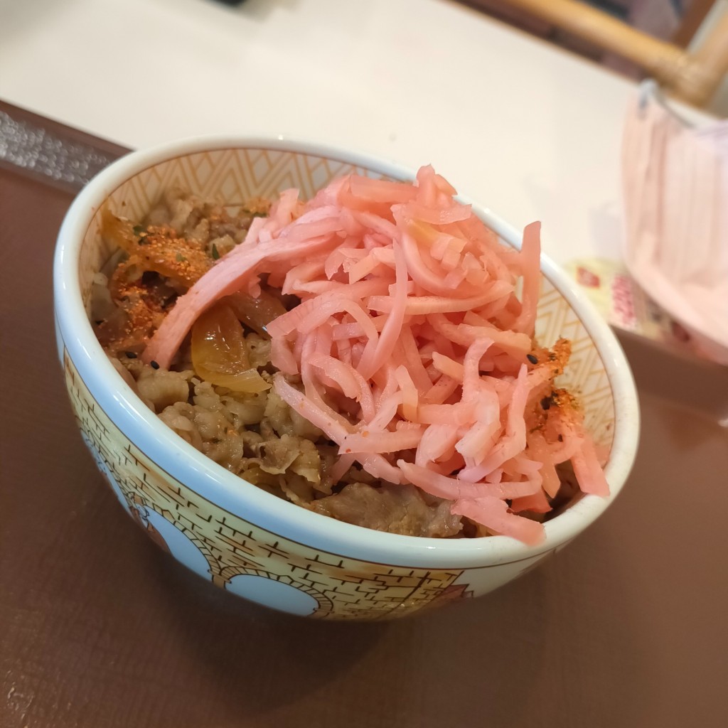 ユーザーが投稿した牛丼の写真 - 実際訪問したユーザーが直接撮影して投稿した牛丼すき家 349号那珂店の写真