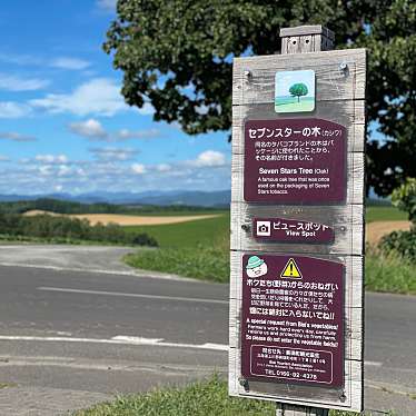 実際訪問したユーザーが直接撮影して投稿した北瑛ロケ地 / 撮影場所セブンスターの木の写真