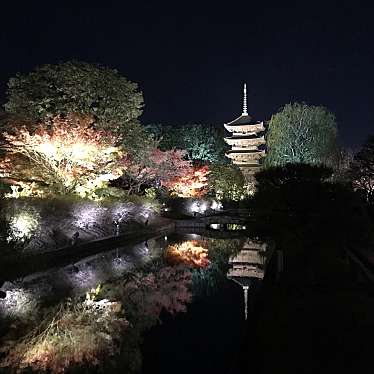 タエゾーさんが投稿した九条町寺のお店東寺/トウジの写真