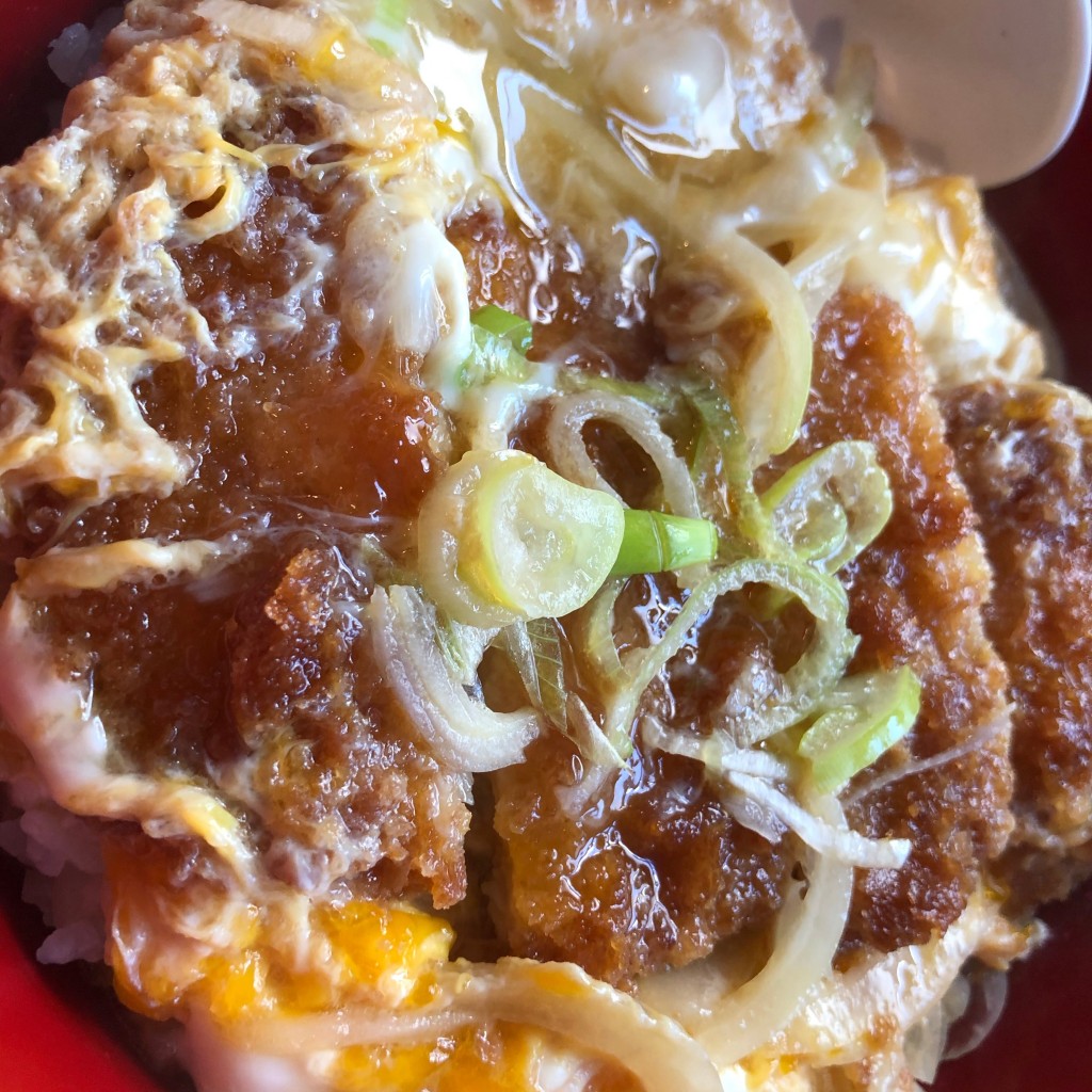 ユーザーが投稿したカツ丼+にゅうめんの写真 - 実際訪問したユーザーが直接撮影して投稿した北瓦町居酒屋コブタノマカナイの写真