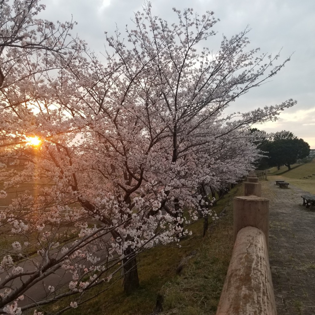 実際訪問したユーザーが直接撮影して投稿した河川大池の写真