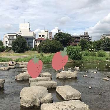 実際訪問したユーザーが直接撮影して投稿した河川鴨川の写真