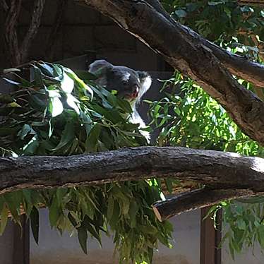 東山動植物園のundefinedに実際訪問訪問したユーザーunknownさんが新しく投稿した新着口コミの写真