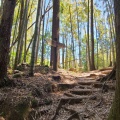 実際訪問したユーザーが直接撮影して投稿した木本町山 / 峠松本峠の写真