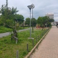 実際訪問したユーザーが直接撮影して投稿した両度町公園両度緑地の写真