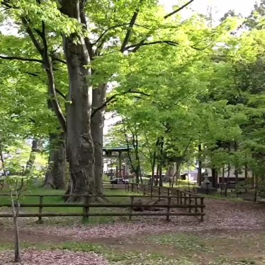 実際訪問したユーザーが直接撮影して投稿した墨坂公園八幡児童公園の写真