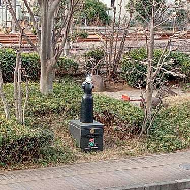 実際訪問したユーザーが直接撮影して投稿した脇田町公園川越駅東口緑地の写真