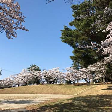 実際訪問したユーザーが直接撮影して投稿した久留米神社水天宮の写真