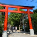 実際訪問したユーザーが直接撮影して投稿した宇治神社宇治神社の写真