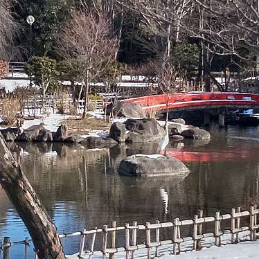 実際訪問したユーザーが直接撮影して投稿した浜川町公園浜川運動公園の写真