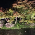 実際訪問したユーザーが直接撮影して投稿した長島町駒江日帰り温泉なばなの里 里の湯の写真