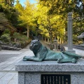 実際訪問したユーザーが直接撮影して投稿した朝熊町寺金剛證寺の写真