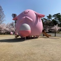 実際訪問したユーザーが直接撮影して投稿した開成公園開成山公園の写真