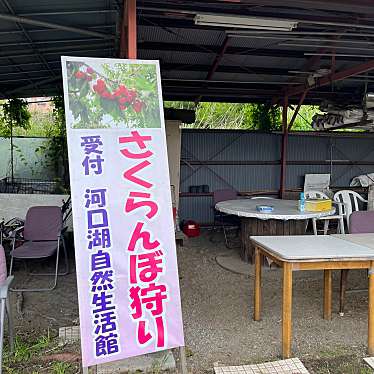 cinquantaの備忘録さんが投稿した大石さくらんぼ狩りのお店山梨県 南都留郡 河口湖サクランボ農園/ヤマナシケン ミナミツルグン カワグチコサクランボノウエンの写真