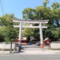 実際訪問したユーザーが直接撮影して投稿した下荒田神社荒田八幡宮の写真