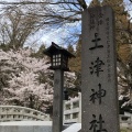 実際訪問したユーザーが直接撮影して投稿した見祢山神社土津神社の写真