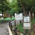 実際訪問したユーザーが直接撮影して投稿した新宿公園花園公園の写真