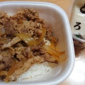 牛丼並弁当 - 実際訪問したユーザーが直接撮影して投稿した屯田六条牛丼すき家 札幌屯田店の写真のメニュー情報