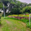 実際訪問したユーザーが直接撮影して投稿した八雲北町公園下島公園の写真