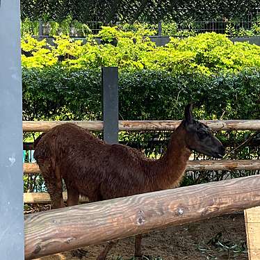 上野動物園のundefinedに実際訪問訪問したユーザーunknownさんが新しく投稿した新着口コミの写真