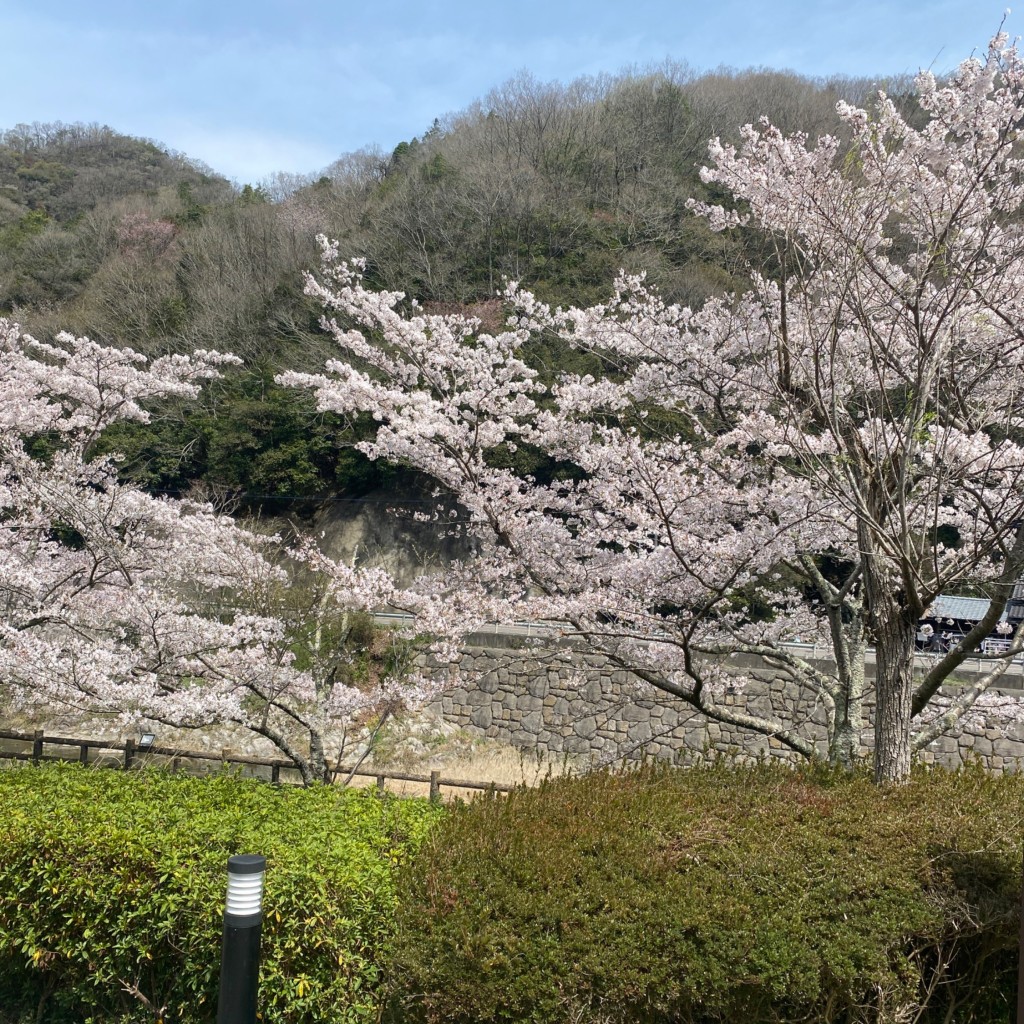 実際訪問したユーザーが直接撮影して投稿した塩江町安原上公園ホタルと文化の里公園の写真