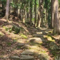 実際訪問したユーザーが直接撮影して投稿した木本町山 / 峠松本峠の写真