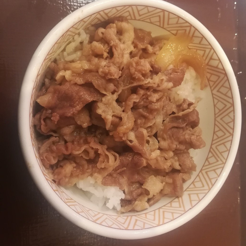 ユーザーが投稿した牛丼ミニの写真 - 実際訪問したユーザーが直接撮影して投稿した瑞江牛丼すき家 瑞江店の写真