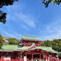 実際訪問したユーザーが直接撮影して投稿した富岡神社富岡八幡宮の写真